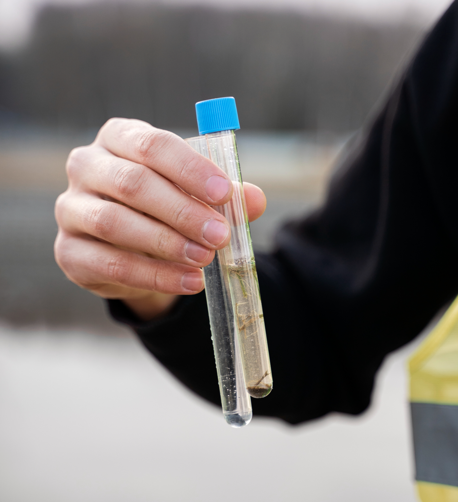Stock image of a hand holding test tubes of water sample