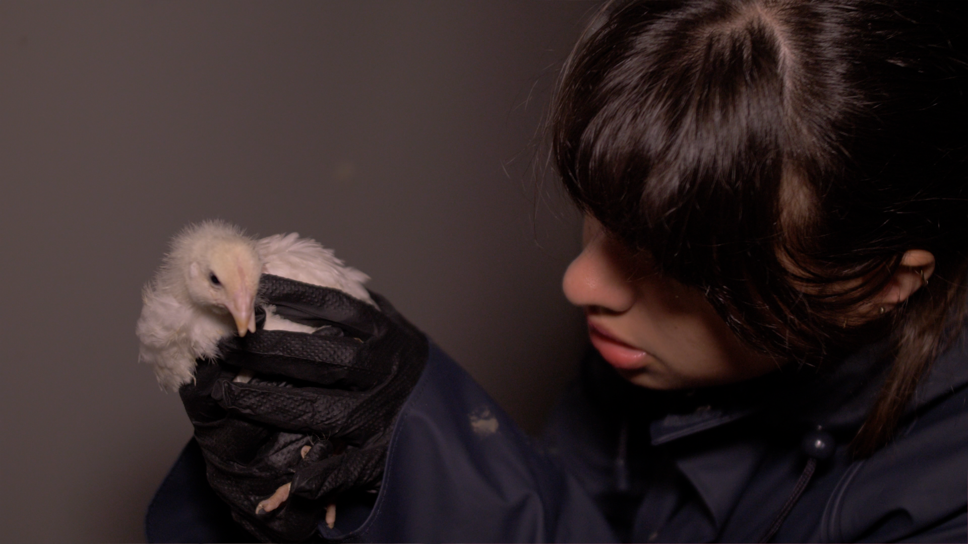 A woman wearing gloves carefully holds a young chick with a twisted beak
