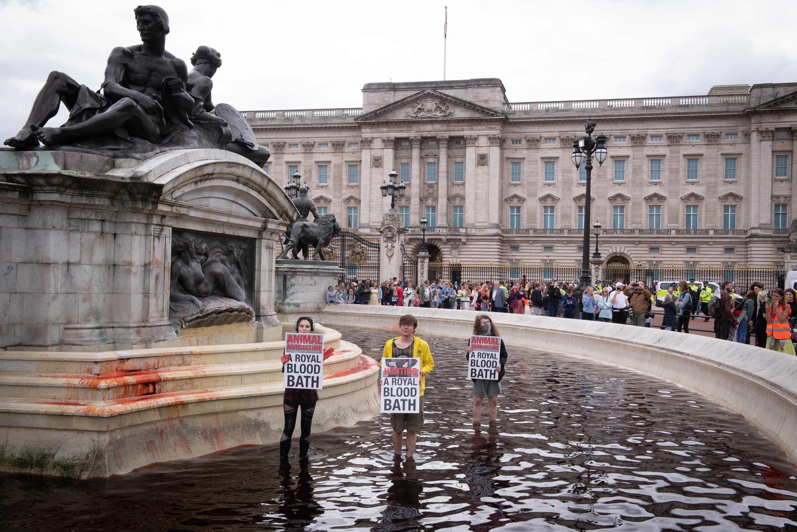 Three protestors standing in the fountain outside Buckingham Palace holding signs with "A Royal Blood Bath" on them and the fountain is dyed red.