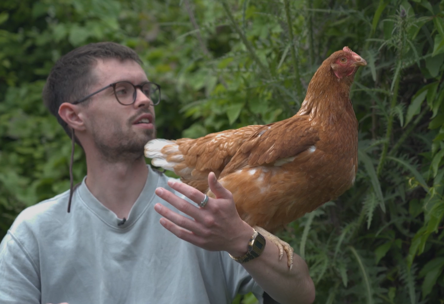 Babs is pictured healthy and well with full feathers on the arm of rescuer Daniel Juniper