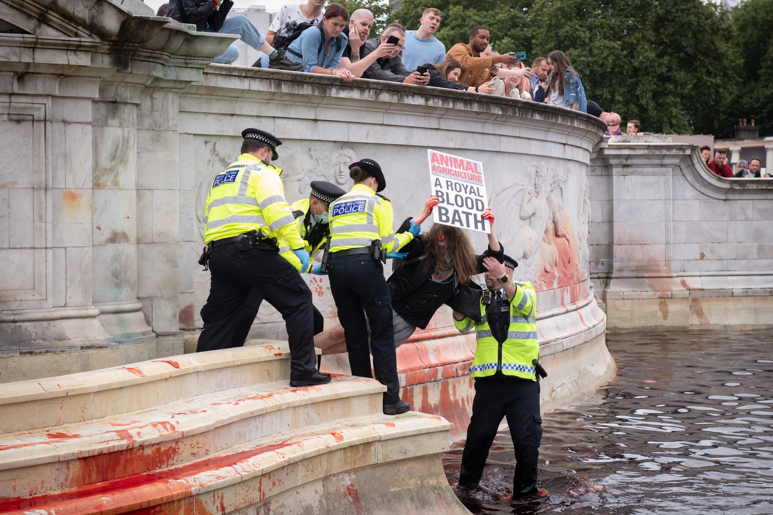 A protestor is holding a placard is surrounded by police officers at a fountain